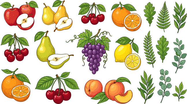 Fresh orchard fruit collection with apples pears cherries grapes oranges lemons peaches and botanical leaves flat vector illustration
