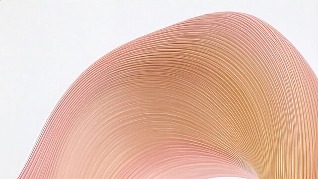 Abstract curved ribbed structure