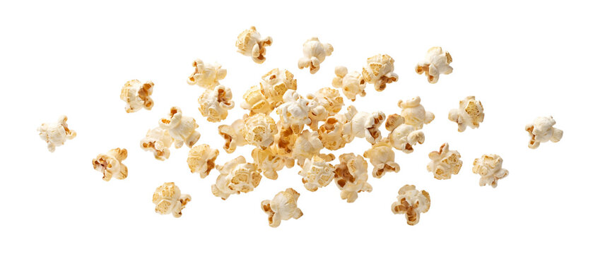 Scattered popcorn kernels with detailed texture on transparent background