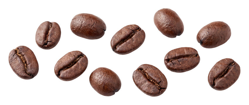 Roasted coffee beans arranged in a scattered pattern on transparent background