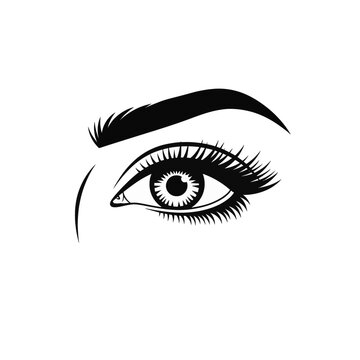 Black and white vector illustration of a human eye with long curved eyelashes and a thick arched eyebrow, isolated on a white background for beauty, salon, and makeup branding.