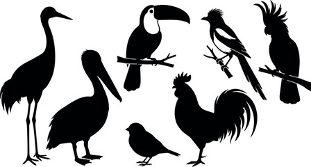 Obraz premium Tropical and Domestic Bird Silhouette Set with Toucan Pelican Crane Rooster and Cockatoo for Wildlife Conservation Logos Nature Educational Materials and Exotic Animal Graphic Design