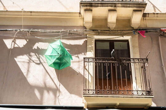 View of a green umbrella hanging from wires next to a balcony with a pigeon in Catania, Sicily, Italy.
