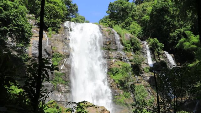 The natural video background of water flowing from high mountains, amidst various forests. The beauty of natural waterfalls is a habitat for various animals. It is worth preserving.