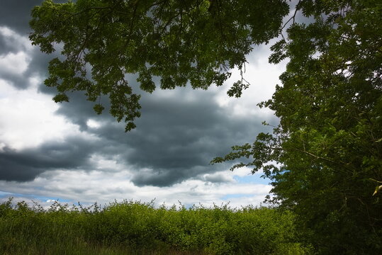 Castor Hanglands, Cambridgeshire, England, UK - June 05 2026: Dramatic Storm clouds through the trees