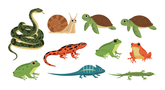 Diverse collection of colorful amphibian and reptile illustrations including snakes, frogs, turtles, chameleons, salamanders, and snails.