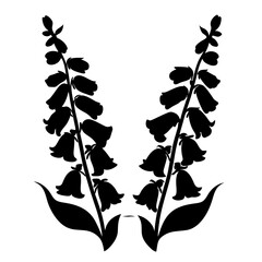 Digitalis Flower Silhouettes, Two Black Foxglove Stems, Botanical Vector Art, Woodland Plant Illustration, Garden Flora Graphic © SUMON