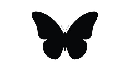 Butterfly silhouette on transparent background high quality professional © DS