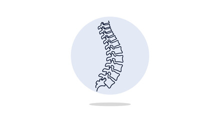 Obraz premium Simple line art illustration of the human spinal column positioned inside a light blue circle for healthcare and orthopedic branding.