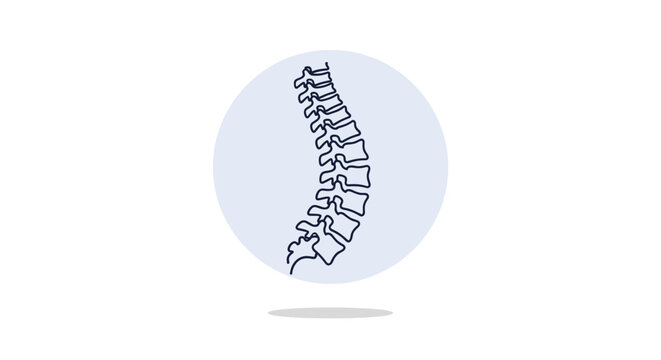 Simple line art illustration of the human spinal column positioned inside a light blue circle for healthcare and orthopedic branding.