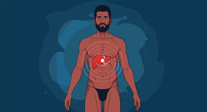 Human male torso anatomy with a glowing red focal point highlighting liver pain, infection, or disease against a dark blue background.