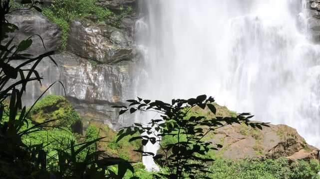 The natural video background of water flowing from high mountains, amidst various forests. The beauty of natural waterfalls is a habitat for various animals. It is worth preserving.