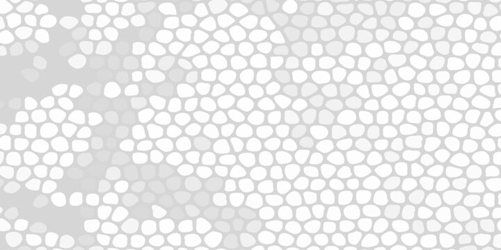 Abstract light grey and white mosaic cell pattern texture background with organic pebble shapes and fading gradient. Small, organic, cell like white shapes over a soft light gray backdrop.