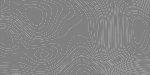 Gray topographic map background with abstract contour lines representing geographic terrain heights and elevations. Light gray topographic contour lines on a solid darker gray backdrop. © Creative Arts