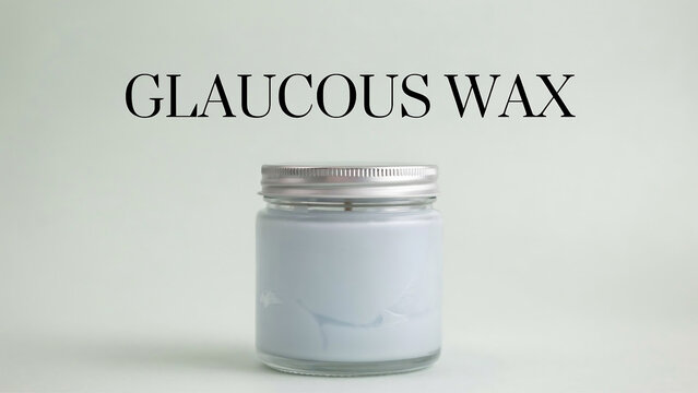 A small glass jar filled with white glaucous wax and a silver screwon lid on a plain light green background