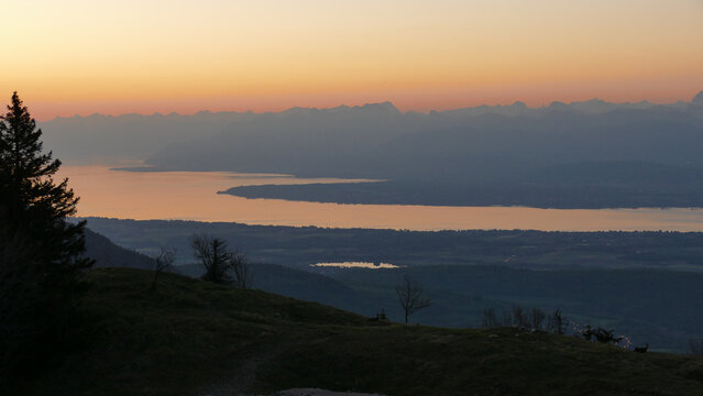 View of Lake Geneva and the distant Alps under a golden sunset sky from the hills overlooking Gex, Auvergne-Rhone-Alpes, France.