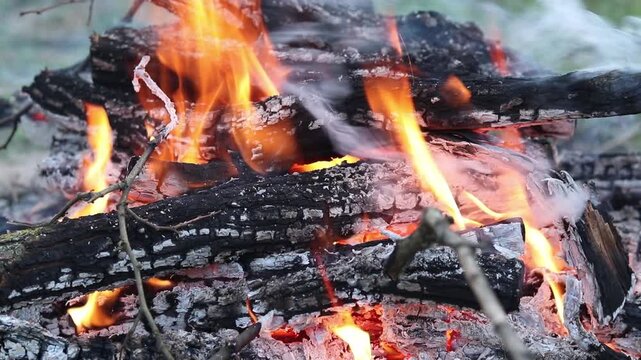 Bonfire close-up. Lighting a bonfire on a hike or during a picnic. Bonfire on open ground. Detailed view of burning wood and flames. A burning bonfire made of dry wooden branches and brushwood