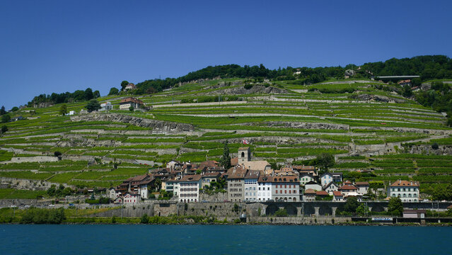 View of Les vignes de Lavaux with terraced vineyards rising above traditional village houses and a church tower on the shores of Lake Geneva in Bourg-en-Lavaux, Vaud, Switzerland.