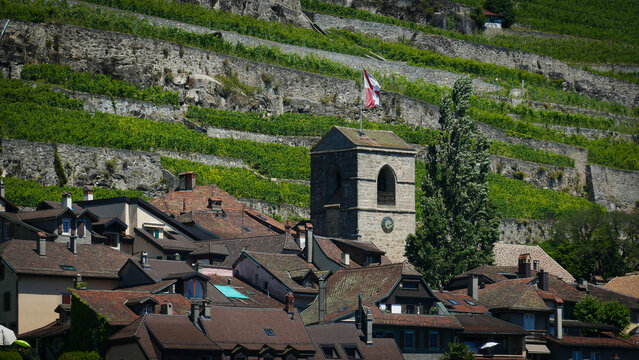 View of the historic stone church tower and traditional village rooftops with the terraced vineyards of Lavaux in the background Bourg-en-Lavaux, Vaud, Switzerland.