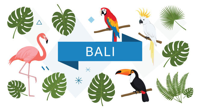 Tropical themed banner for Bali featuring exotic birds and lush palm leaves in a vibrant island paradise design.