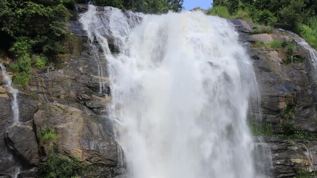 The natural video background of water flowing from high mountains, amidst various forests. The beauty of natural waterfalls is a habitat for various animals. It is worth preserving.