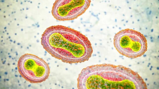 Smallpox virus particles, 3D animation showing slowly rotating brick-shaped variola virions, illustrating eradicated but historically significant viral disease.