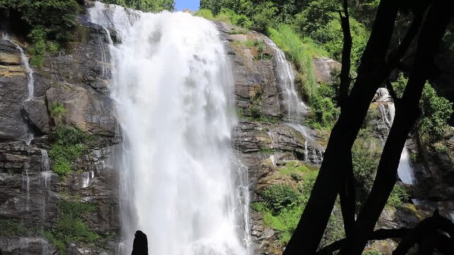 The natural video background of water flowing from high mountains, amidst various forests. The beauty of natural waterfalls is a habitat for various animals. It is worth preserving.