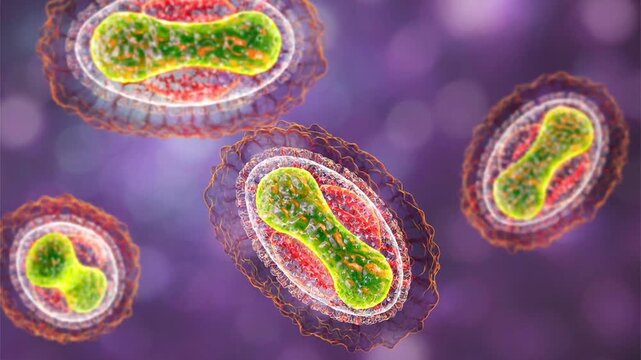 Smallpox virus particles, 3D animation showing slowly rotating brick-shaped variola virions, illustrating eradicated but historically significant viral disease.