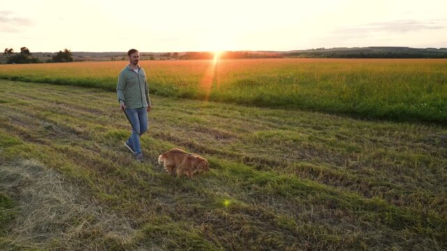 Caring man walks small cocker spaniel dog in field with mown grass at sunset time owner enjoys walking hound spaniel dog in rural park man with red-haired spaniel dog in country park on weekend