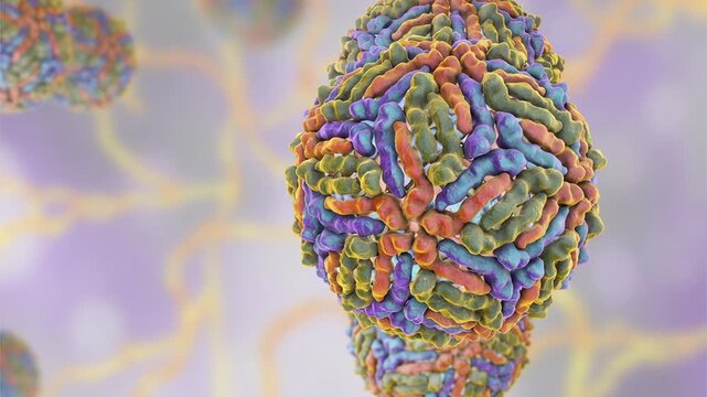 West Nile virus particles, 3D animation showing slowly rotating enveloped flavivirus virions, illustrating mosquito-borne viral infection.
