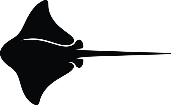 Sting Ray Silhouette