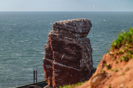 Die Lange Anna (Nathuurnstak) ist ein 47 Meter hoher Felsen im Nordwesten der deutschen Insel Helgoland. in der Nordsee