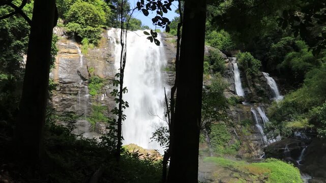 The natural video background of water flowing from high mountains, amidst various forests. The beauty of natural waterfalls is a habitat for various animals. It is worth preserving.