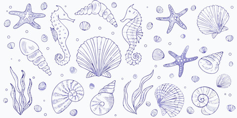 Sketch of marine life seashells seahorses starfish and aquatic plants © Endrajit