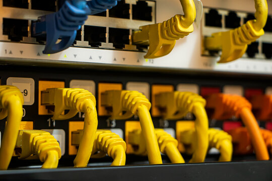 Network switch and patch panel . Network, technology or data center concept.
