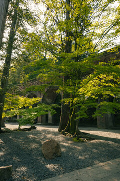 View of the historic Suirokaku Aqueduct at Nanzen-ji Temple with lush green maple trees and sunlight filtering through the forest.