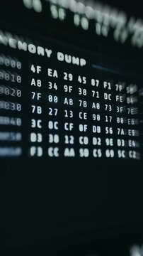 Binary memory structure represented in hex code