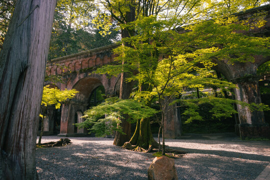View of the historic Suirokaku Aqueduct with its red brick arches surrounded by lush green maple trees and tall cedar trunks in a forest.