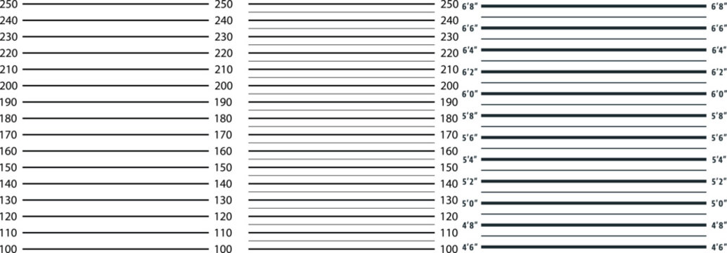 Police Lineup Mugshot Background with Height Measurement Chart Vector Template