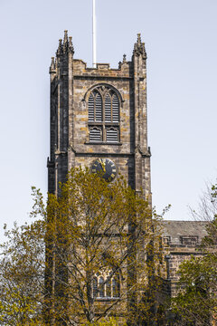 View of the historic Lancaster Priory church tower featuring a clock face and gothic stone architecture behind a leafy tree in Lancaster, England, United Kingdom.
