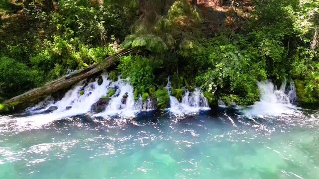 Large Springs Flowing into the Metolius River near Camp Sherman, Oregon