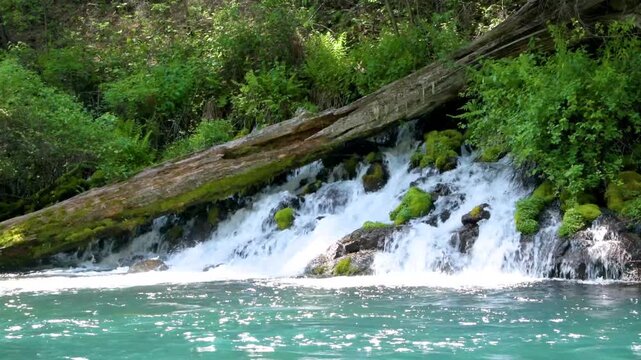 Large Springs Flowing into the Metolius River near Camp Sherman, Oregon