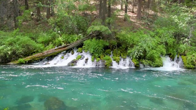 Large Springs Flowing into the Metolius River near Camp Sherman, Oregon