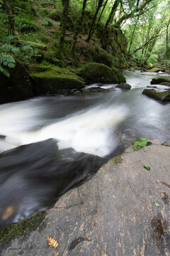 Golitha Falls Bodmin Moor Cornwall England