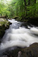 Obraz premium Golitha Falls Bodmin Moor Cornwall England