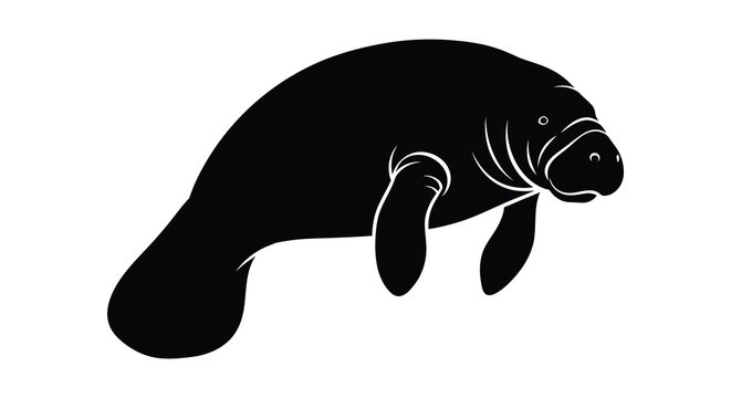 Manatee silhouette black marine mammal shape on white background