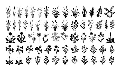 Wild Meadow Plant Silhouettes CAD Style Vector Set for Landscape Design © MdRabbi
