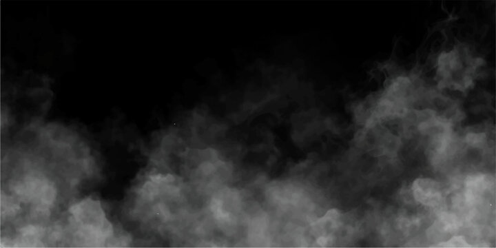 Ethereal white smoke or fog drifts low across a stark black background, creating an atmospheric and mysterious visual effect.