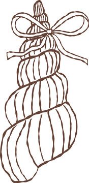 Cute hand drawn ribbed augur seashell with ribbon bow outline illustration