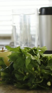 Vertical video: Pulling back camera revealing herbs on countertop by blinds apples blender tomatoes